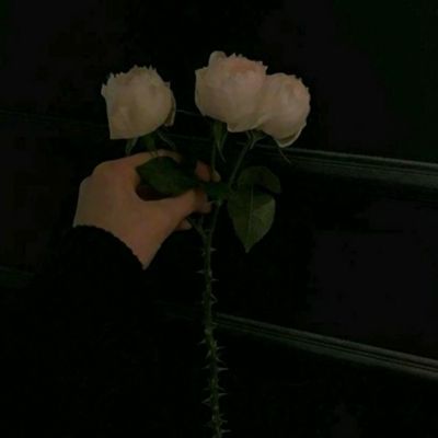 江南体育综合版